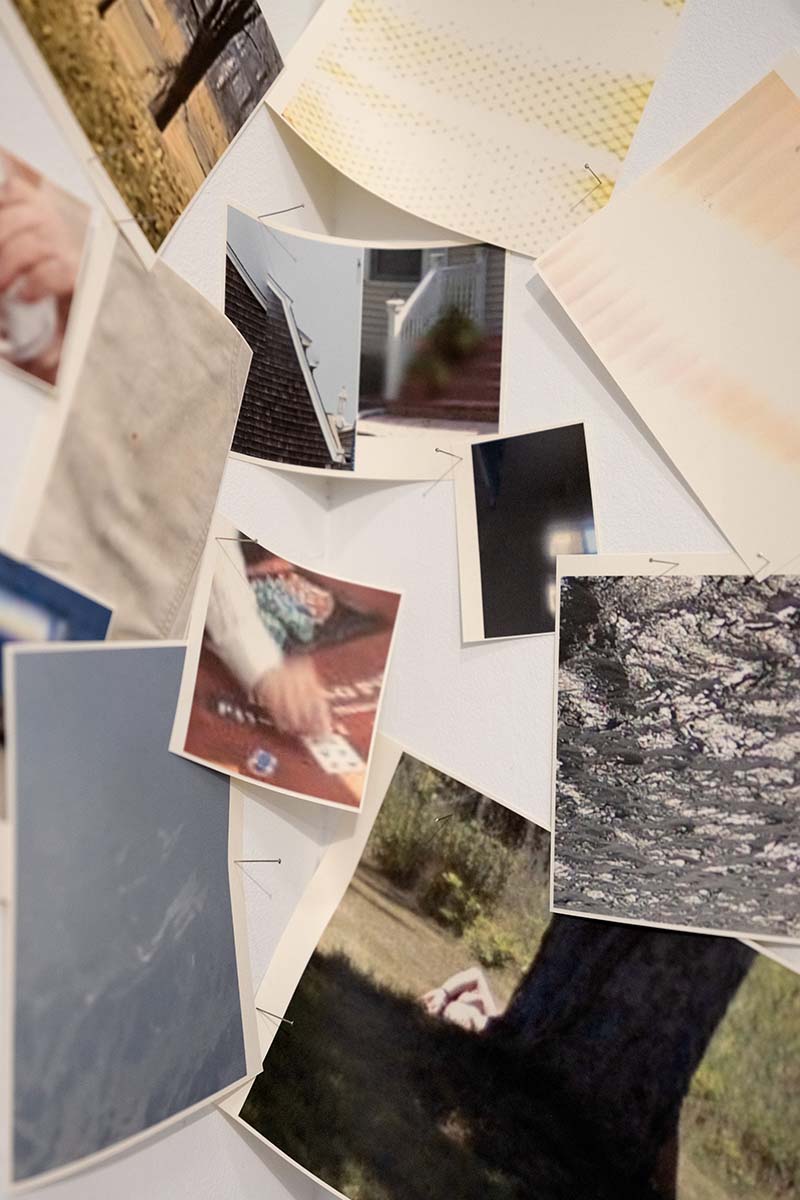 Istallation detail: Picturing Plastic Peonies