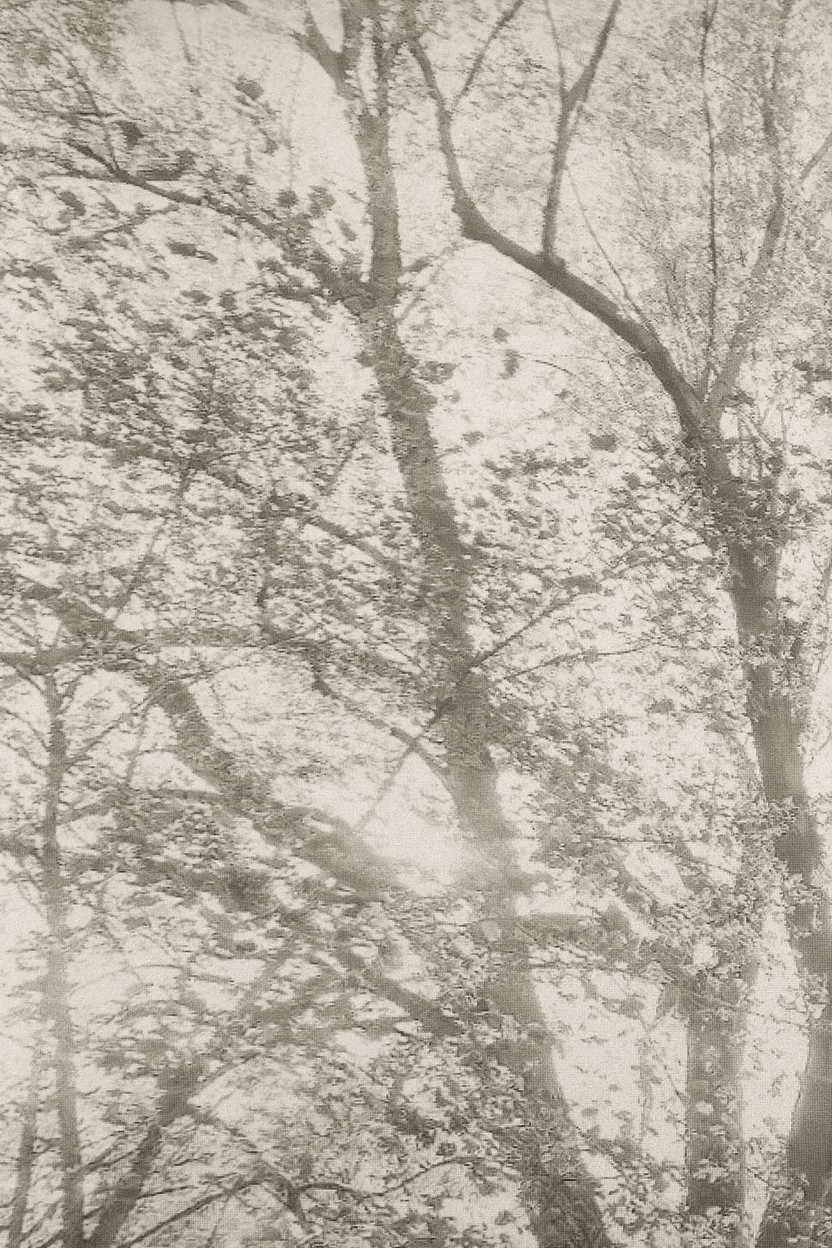 Breeze in the Branches