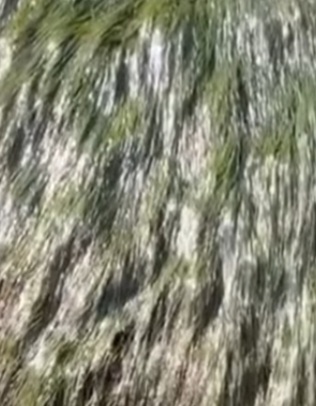 Sun Glint on the Riverbed