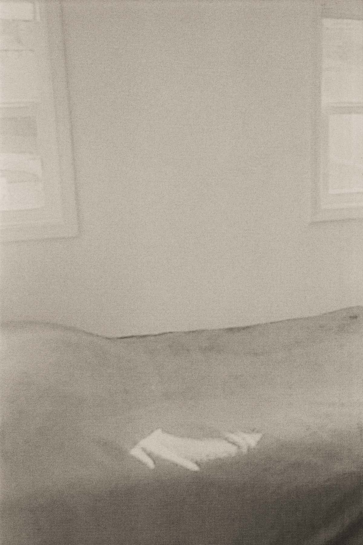 Sunspots on the Bedsheet