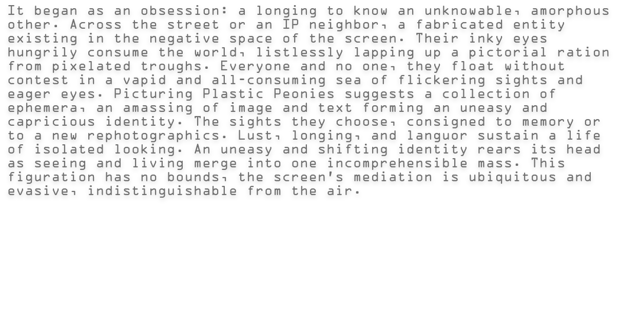 It began as an obsession: a longing to know an unknowable, amorphous other. Across the street or an IP neighbor, a fabricated entity existing in the negative space of the screen. Their inky eyes hungrily consume the world, listlessly lapping up a pictorial ration from pixelated troughs. Everyone and no one, they float without contest in a vapid and all-consuming sea of flickering sights and eager eyes. Picturing Plastic Peonies suggests a collection of ephemera, an amassing of image and text forming an uneasy and capricious identity. The sights they choose, consigned to memory or to a new rephotographics. Lust, longing, and languor sustain a life of isolated looking. An uneasy and shifting identity rears its head as seeing and living merge into one incomprehensible mass. This figuration has no bounds, the screen’s mediation is ubiquitous and evasive, indistinguishable from the air.